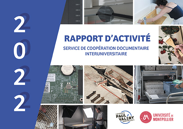 Rapport d'activité 2022